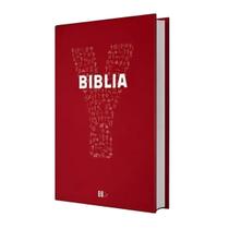 Livro Estudo Bíblico Bíblia Jovem Youcat Capa Luxo Ilustrada Papa Francisco Católica