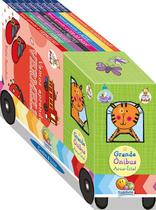 Livro - Fases do bebê! O grande ônibus arco-íris Livro - Fases do bebê! O grande ônibus arco-íris
