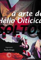 Livro - Fios soltos: a arte de Hélio Oiticica