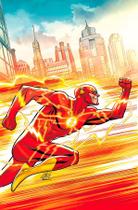Livro - Flash: Unidos eles caem