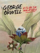 Livro - Flor Da Inglaterra, A - PE DA LETRA Livro - Flor Da Inglaterra, A - PE DA LETRA