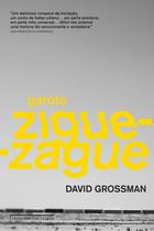 Livro - Garoto zigue-zague