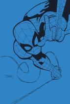 Livro - Homem-Aranha: Azul