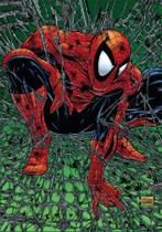 Livro - Homem-Aranha: Tormento (Marvel Essenciais)