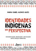 Livro - Identidades Indígenas em Perspectiva Livro - Identidades Indígenas em Perspectiva