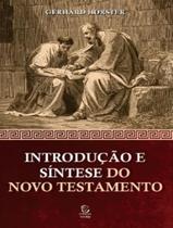 Livro - Introducao E Sintese Do Novo Testamento