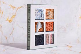 Livro - Jan Christiaan Sepp. the Book of Marble: The Book of Marble Livro - Jan Christiaan Sepp. the Book of Marble: The Book of Marble