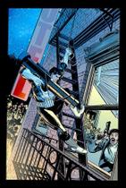 Livro - Justiceiro por Mike Baron & Klaus janson (Marvel Essenciais) Livro - Justiceiro por Mike Baron & Klaus janson (Marvel Essenciais)