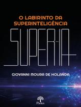 Livro - Labirinto Da Superinteligencia, O