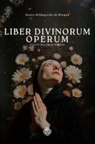 Livro - Liber Divinorum Operum