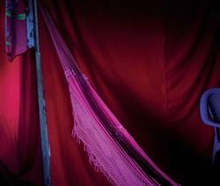 Livro - Lindo sonho delirante