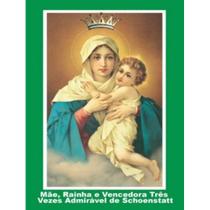Livro Mãe Rainha e Vencedora Três Vezes Admirável - Ave-Maria