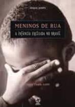 Livro - Meninos de rua