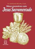 Livro - Meus encontros com Jesus sacramentado