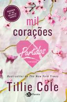Livro - Mil corações partidos Livro - Mil corações partidos