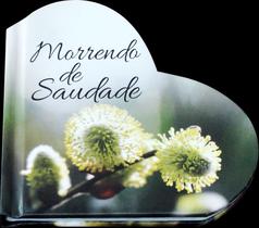 Livro - Morrendo de saudade