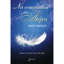 Livro - Na Companhia dos Anjos Livro - Na Companhia dos Anjos