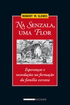 Livro - Na senzala, uma flor