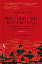 Livro - Nos passos dos bodhisattvas