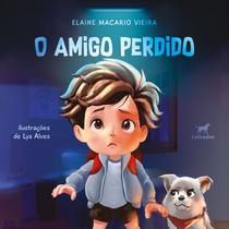 Livro - O amigo perdido Livro - O amigo perdido
