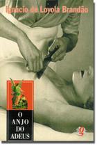 Livro - O anjo do adeus