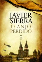 Livro - O anjo perdido