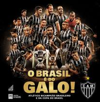 Livro - O Brasil é do Galo! Livro - O Brasil é do Galo!