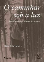 Livro - O caminhar sob a luz