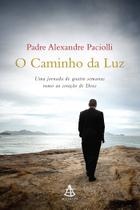 Livro - O caminho da luz