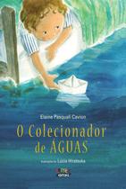 Livro - O colecionador de águas Livro - O colecionador de águas