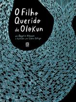 Livro - O filho querido de Olokun
