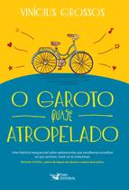 Livro - O garoto quase atropelado