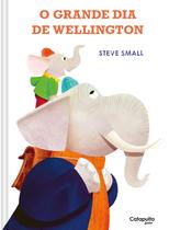 Livro - O grande dia de Wellington Livro - O grande dia de Wellington
