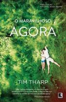 Livro - O maravilhoso agora Livro - O maravilhoso agora