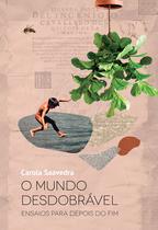 Livro - O mundo desdobrável