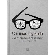 Livro - O mundo é grande