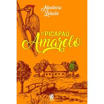 Livro - O Picapau Amarelo