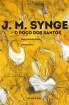 Livro - O poço dos santos