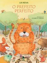 Livro - O prefeito perfeito