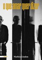 Livro - O que amar quer dizer Livro - O que amar quer dizer