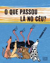 Livro - O que passou lá no céu?