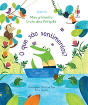 Livro - O que são sentimentos?: meu primeiro livro dos porquês Livro - O que são sentimentos?: meu primeiro livro dos porquês