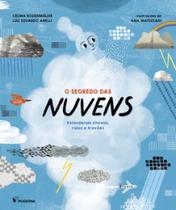 Livro - O segredo das nuvens