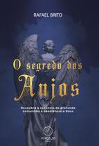 Livro - O segredo dos anjos Livro - O segredo dos anjos