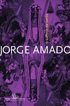 Livro - O sumiço da santa