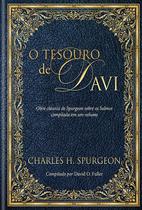 Livro - O tesouro de Davi