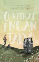 Livro - O Vitral Encantado