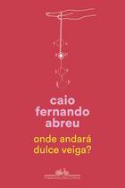 Livro - Onde andará Dulce Veiga?
