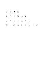 Livro - Onze poemas