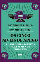 Livro - Os cinco níveis de apego